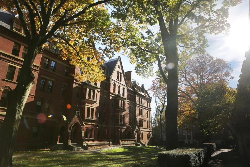 The academic quarter under autumn trees, early in the school day
