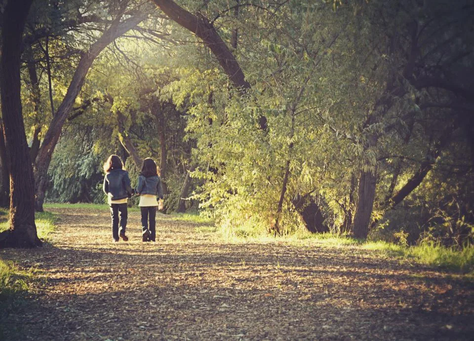 Students on the tree-lined walk between lessons